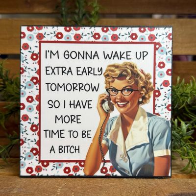 Vintage Snarky Housewives - set 4