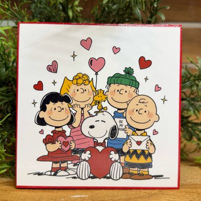 Peanuts Gang Valentines Day home decor blocks