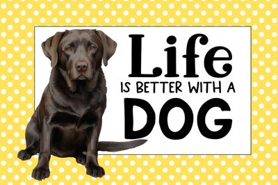 Canine Companion home decor blocks