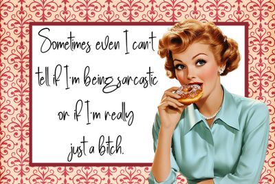 Vintage Snarky Housewives - set E