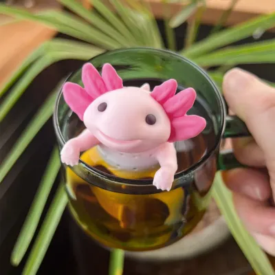 Infusers