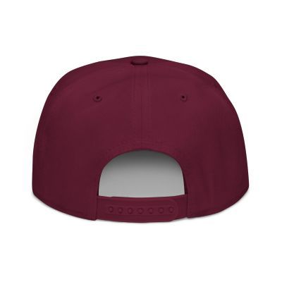 NBAK4 activewear - LARGE LOGO SNAP BACK ADJUSTABLE w/ 1 different colors