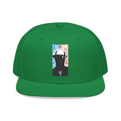 NBAK4 activewear - LOGO SNAP BACK ADJUSTABLE w/ 1 different colors