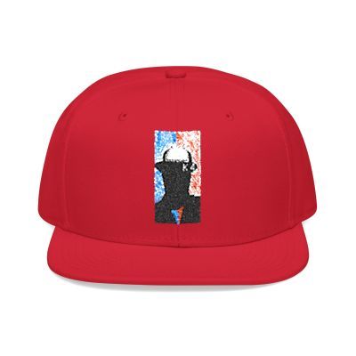 NBAK4 activewear - LOGO SNAP BACK ADJUSTABLE w/ 1 different colors