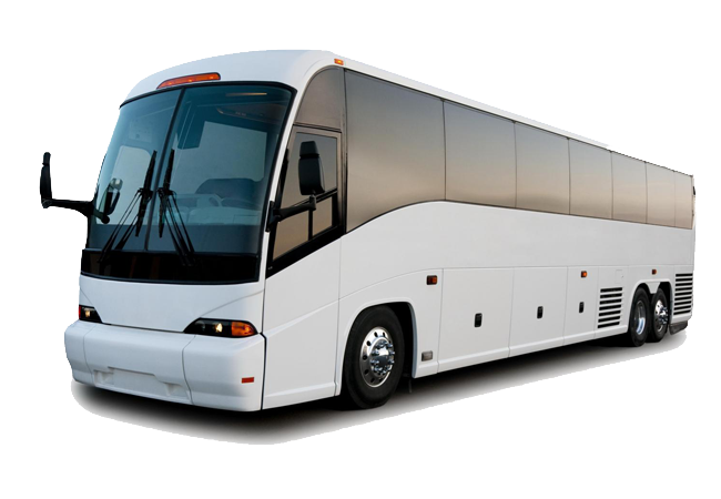 Charter Bus 55 Passenger