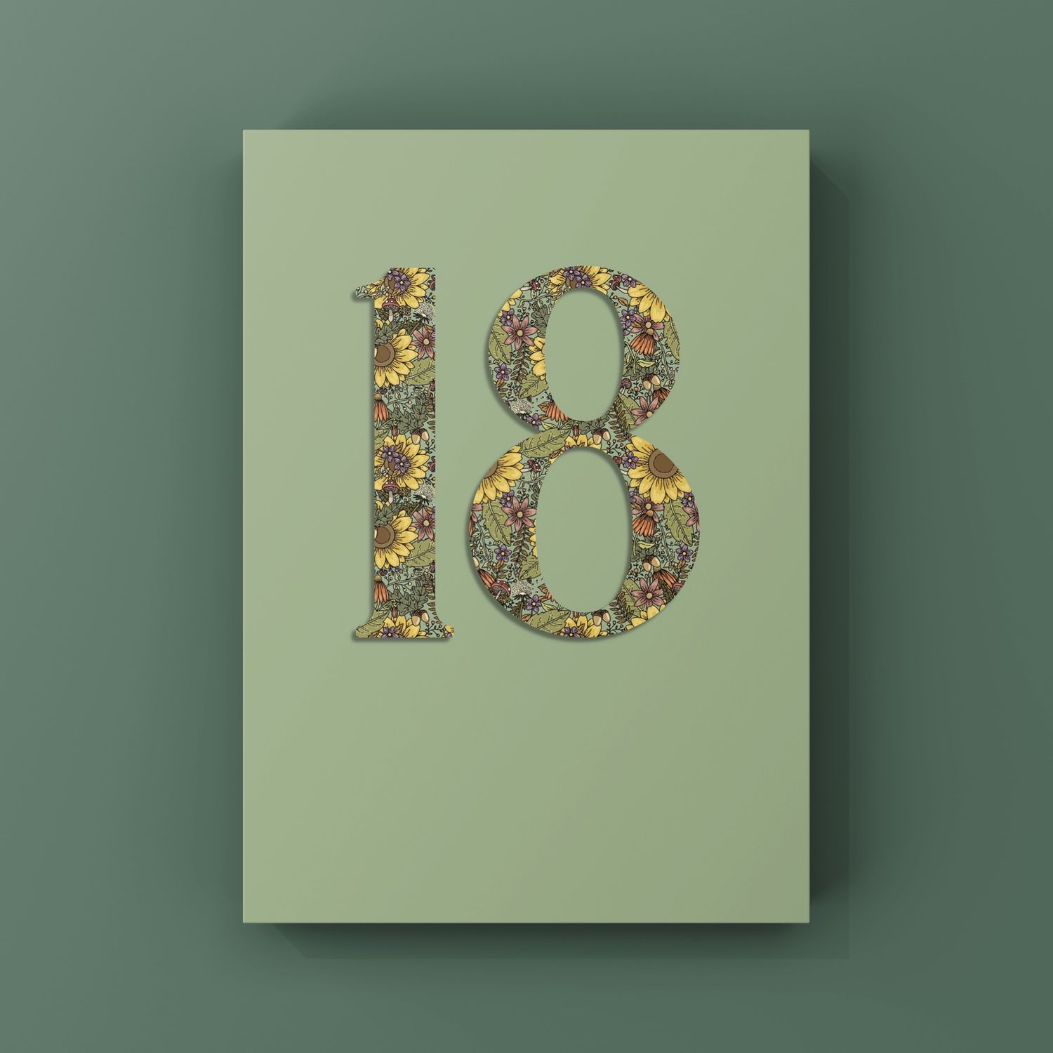 Meadow 18th Birthday Card 