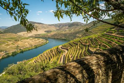 Die Weinanbaugebiete Portugals: Ein Genuss für die Sinne