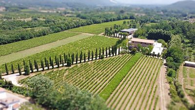Wieso wir die Weinregion Kampanien empfehlen