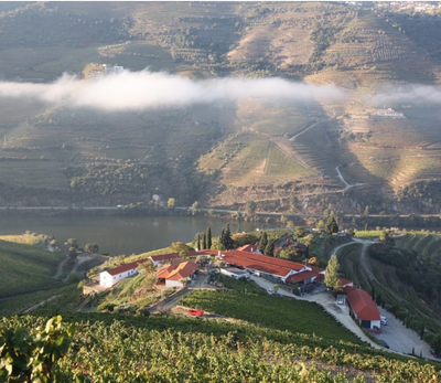 Quinta Nova de Nossa Senhora de Carmo