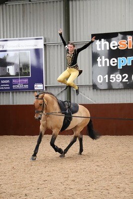 Vaulting