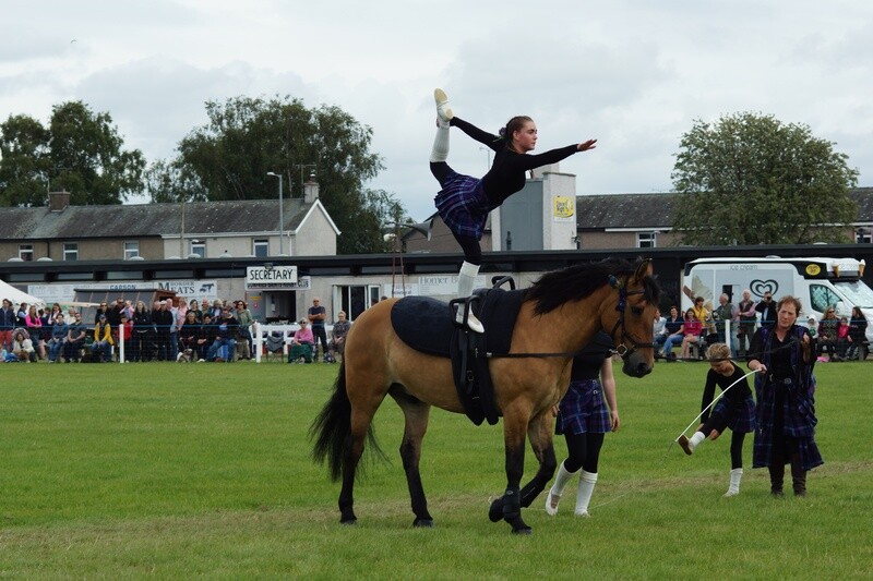 Vaulting 1 Hour Lesson