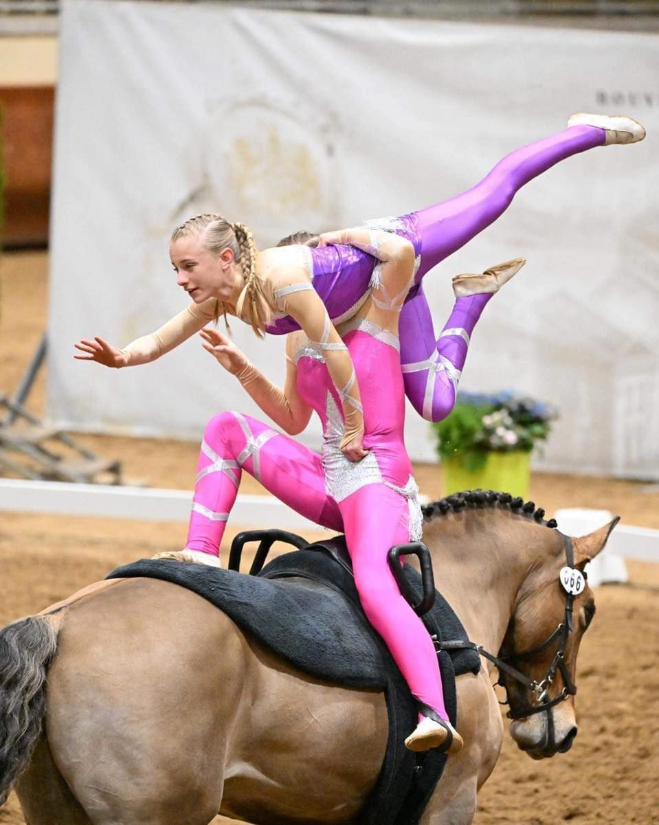 2-day Advanced Vaulting Camp 5th and 6th August