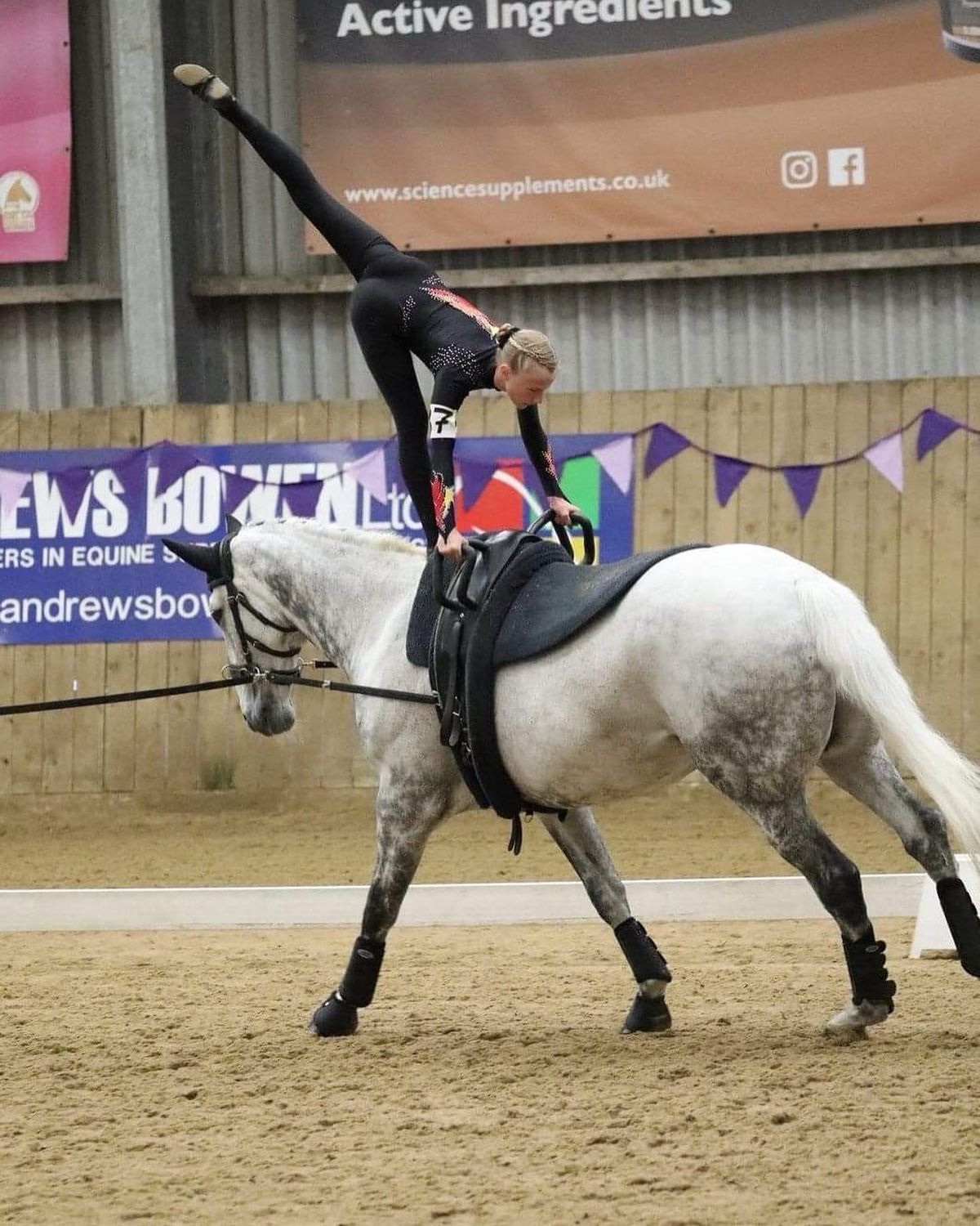 Vaulting Fitness Plan