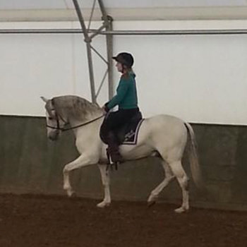 Riding Lessons