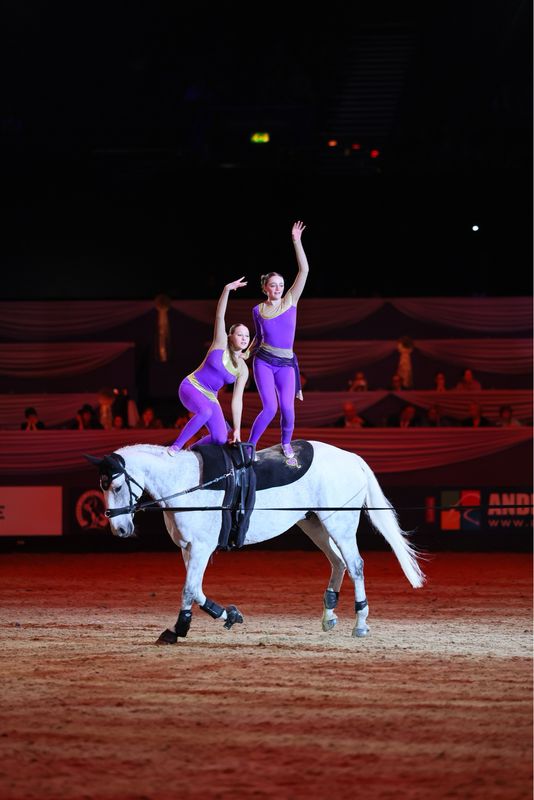 2-day Advanced Vaulting Camp