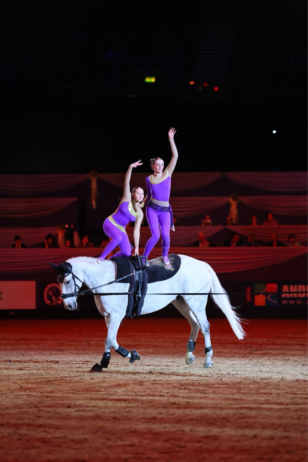 2-day Advanced Vaulting Camp