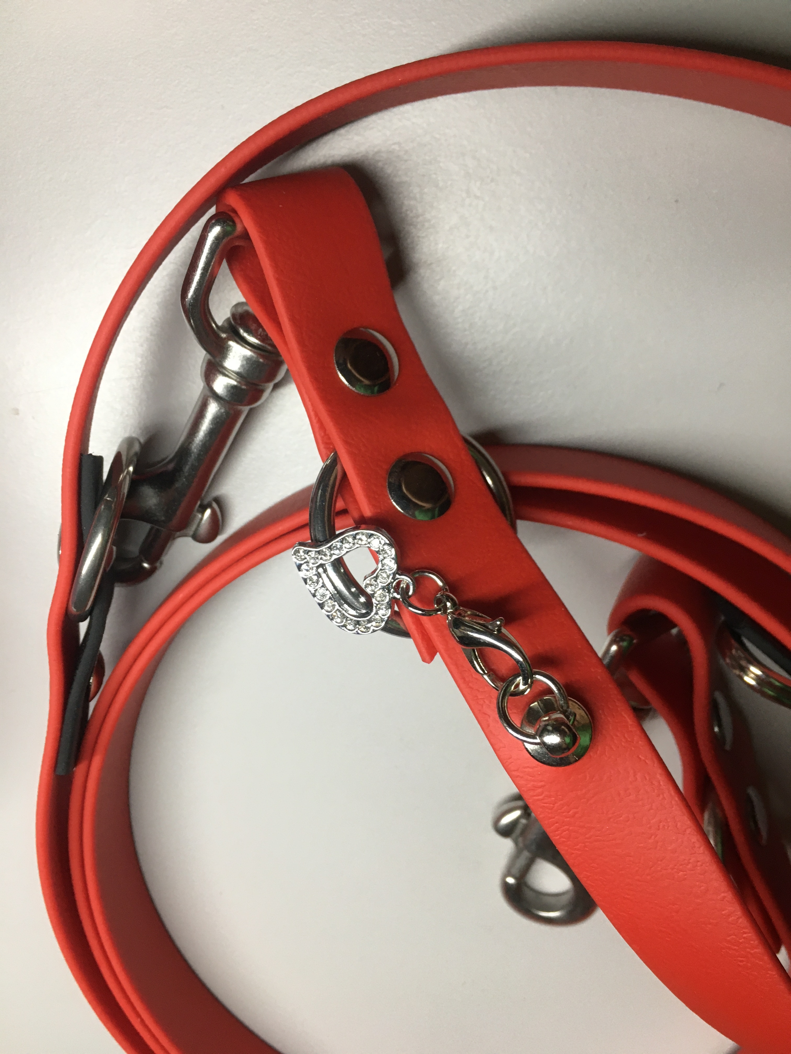 Biothane Führleine / Hundeleine