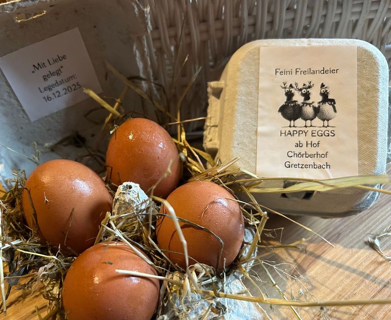 Freiland Eier 6 Stk. Karton