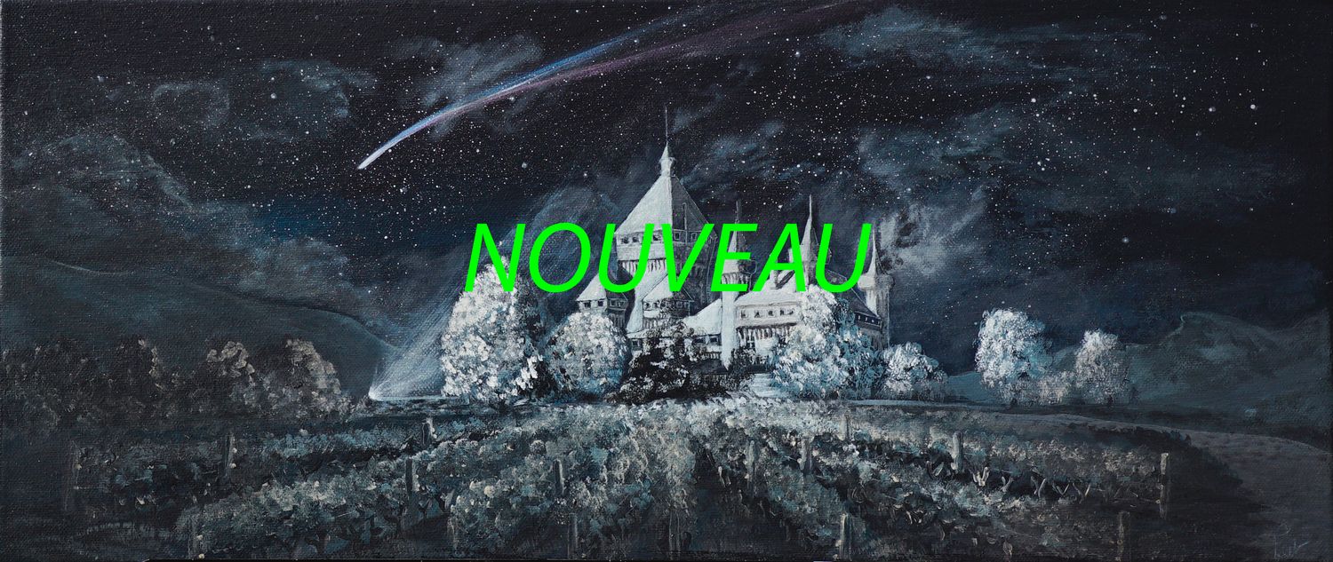 Neowise et le château