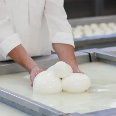 Mozzarella
