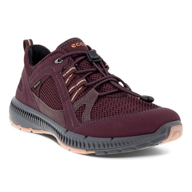 ECCO WOMEN&#39;S TERRACRUISE II ATHLETIC SHOE, Size: 37(EU)