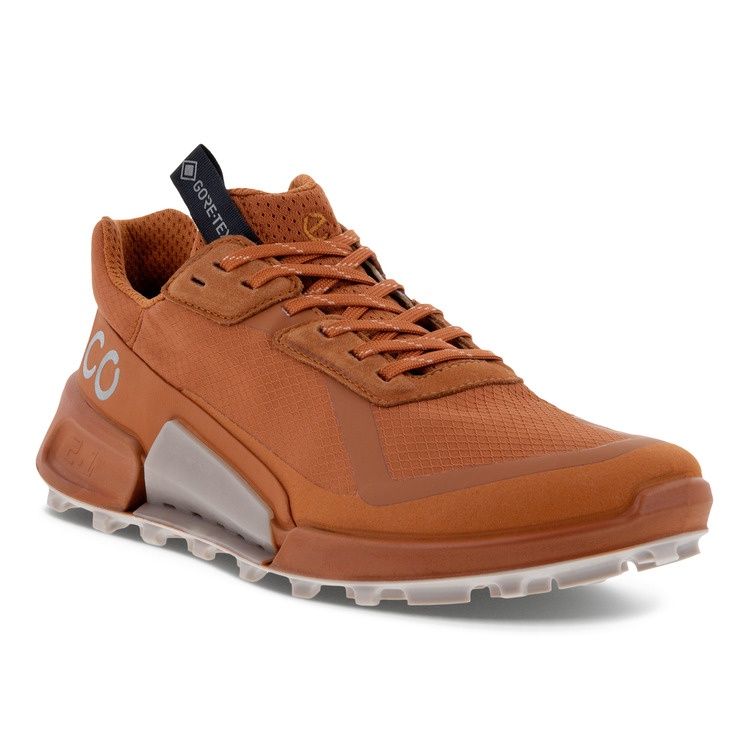 ECCO WOMEN&#39;S BIOM 2.1 X COUNTRY ATHLETIC SHOE