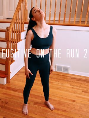 Fugitive on the Run 2