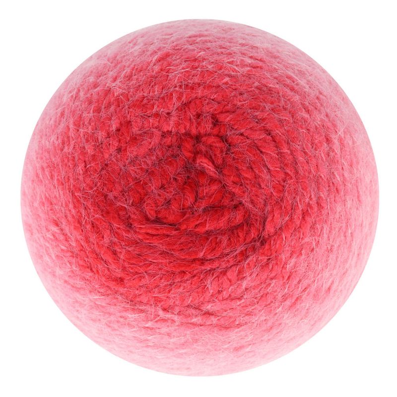 Snowfall 04 - Rosehip