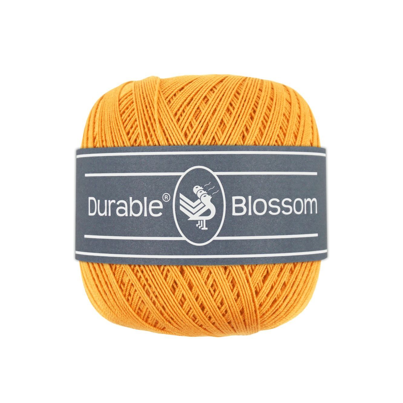 Blossom 2179 - Honey