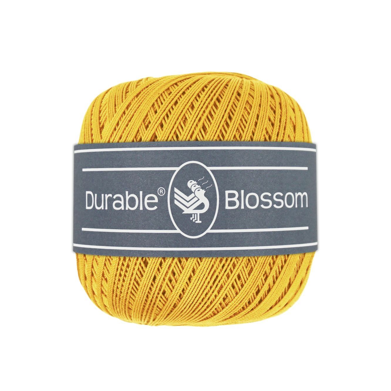 Blossom 2211 - Curry
