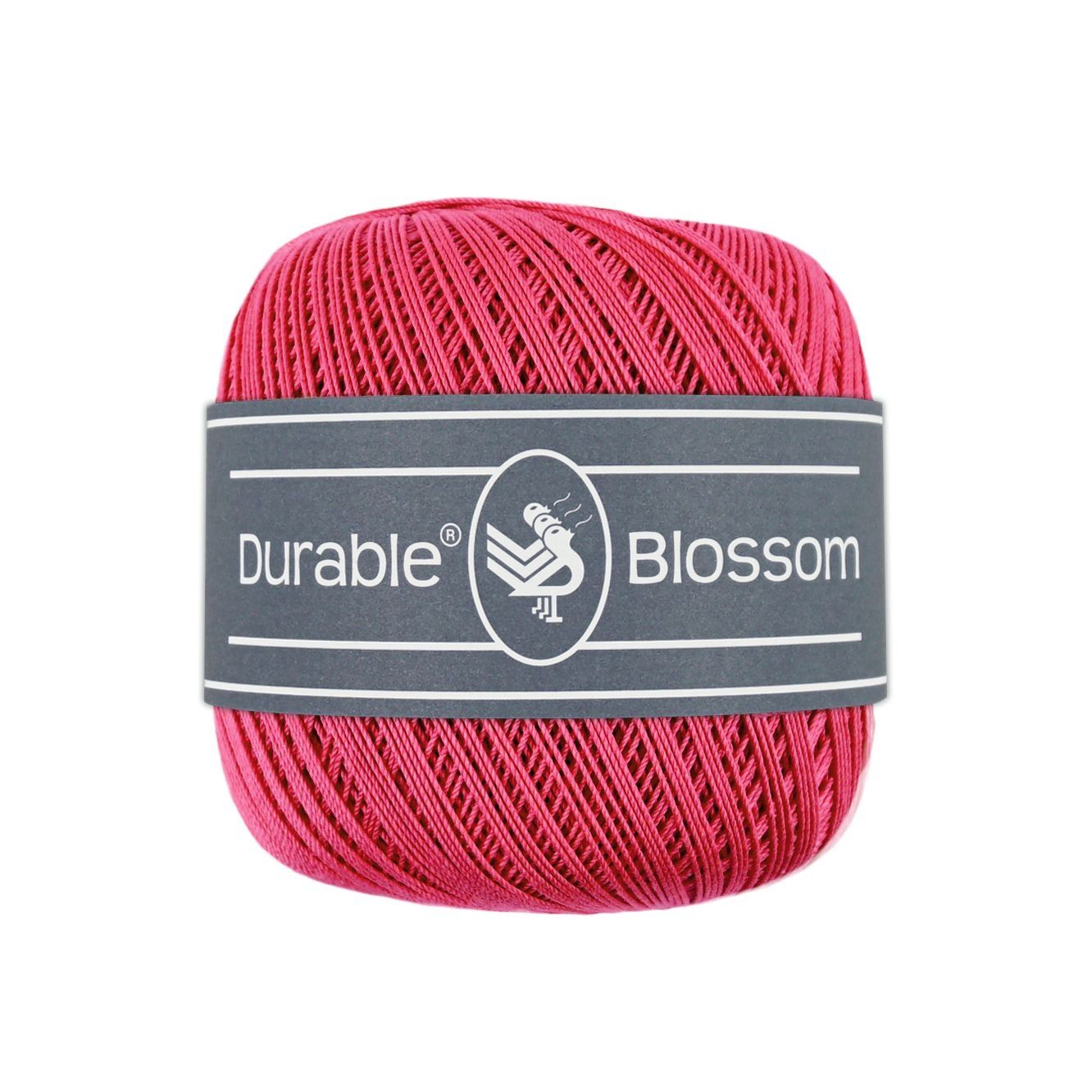 Blossom 221 - Holly Berry