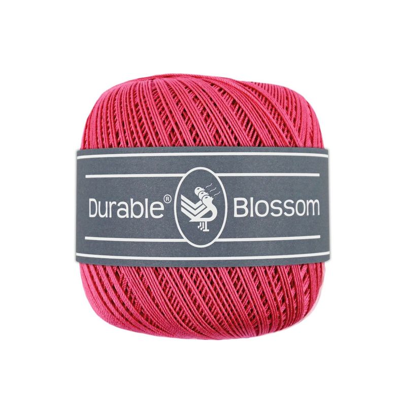 Blossom 221 - Holly Berry