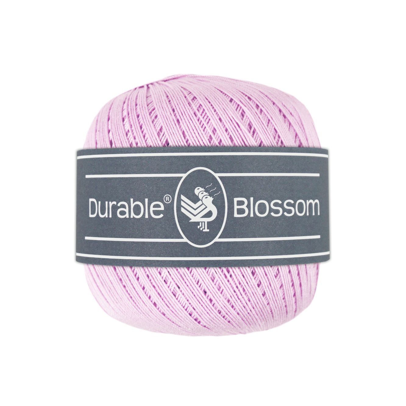 Blossom 419 - Orchid