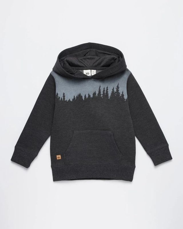Tentree Kid&#39;s Juniper Hoodie