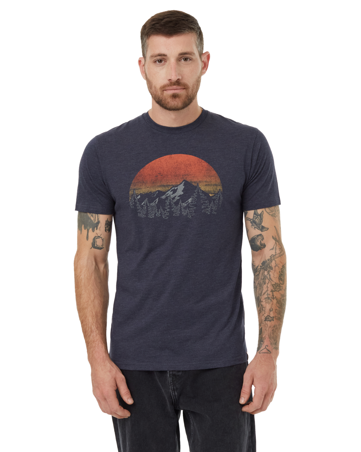 Tentree M Vintage Sunset Tee