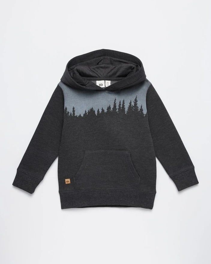 Tentree Kid&#39;s Juniper Hoodie, Color: Meteorite Blk, Size: 12-18M