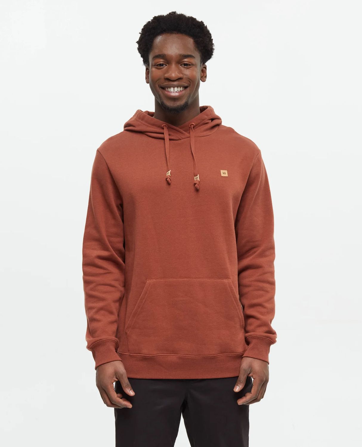 Tentree Men Reynard Hoodie - Sequoia