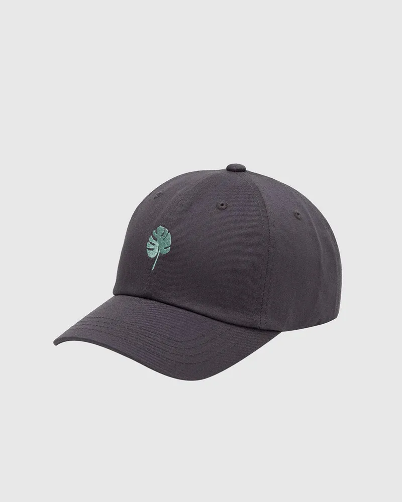 Tentree Amazon Foliage Peak Hat - Meteor