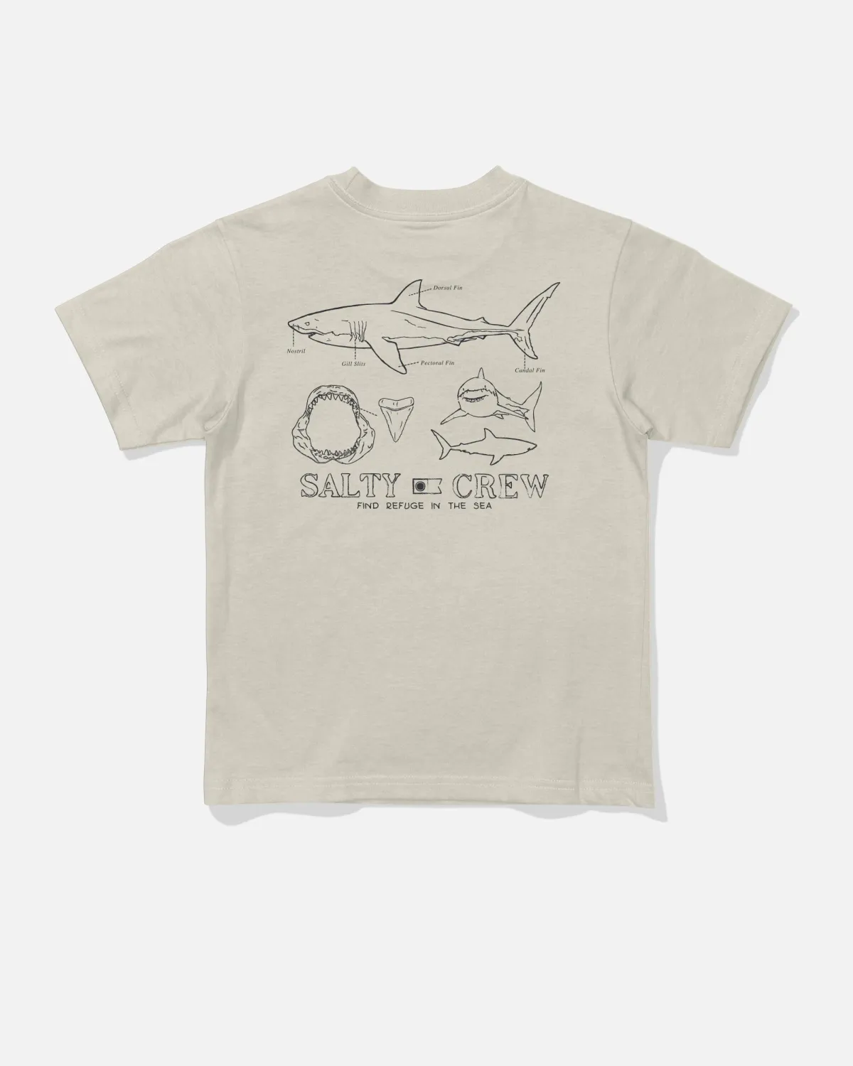Salty Crew Toddler Great White Tee -Bone
