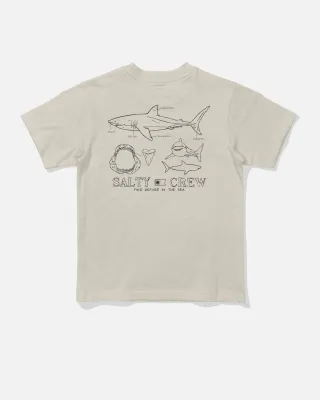 Salty Crew Toddler Great White Tee -Bone