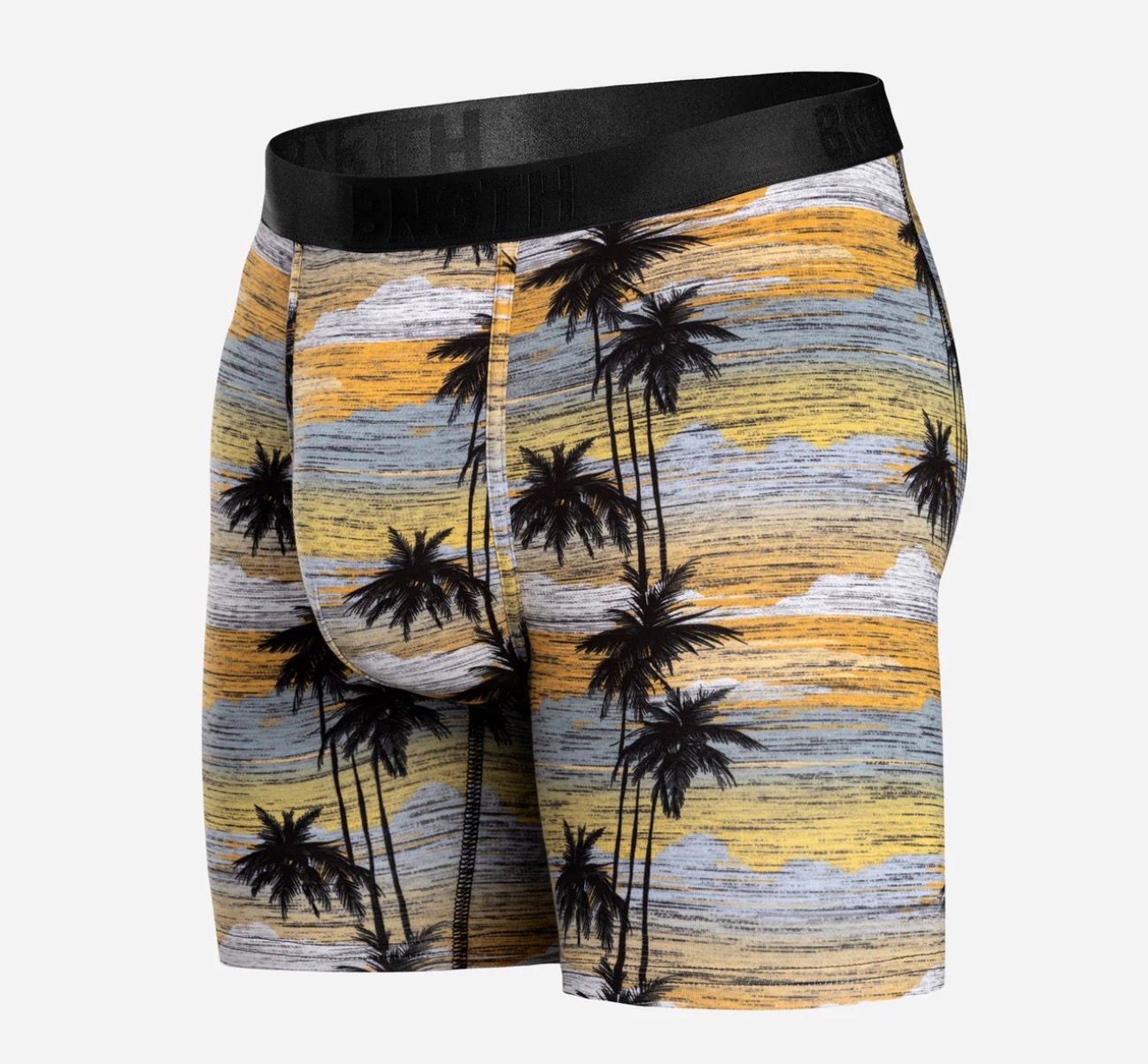 BN3TH Essentials Boxer Brief - Palm Tree Horizon
