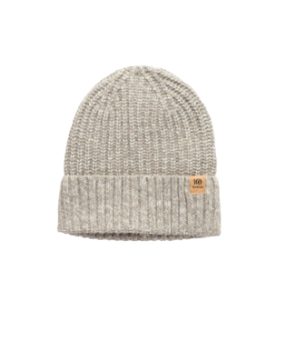 Tentree Mitchell Beanie