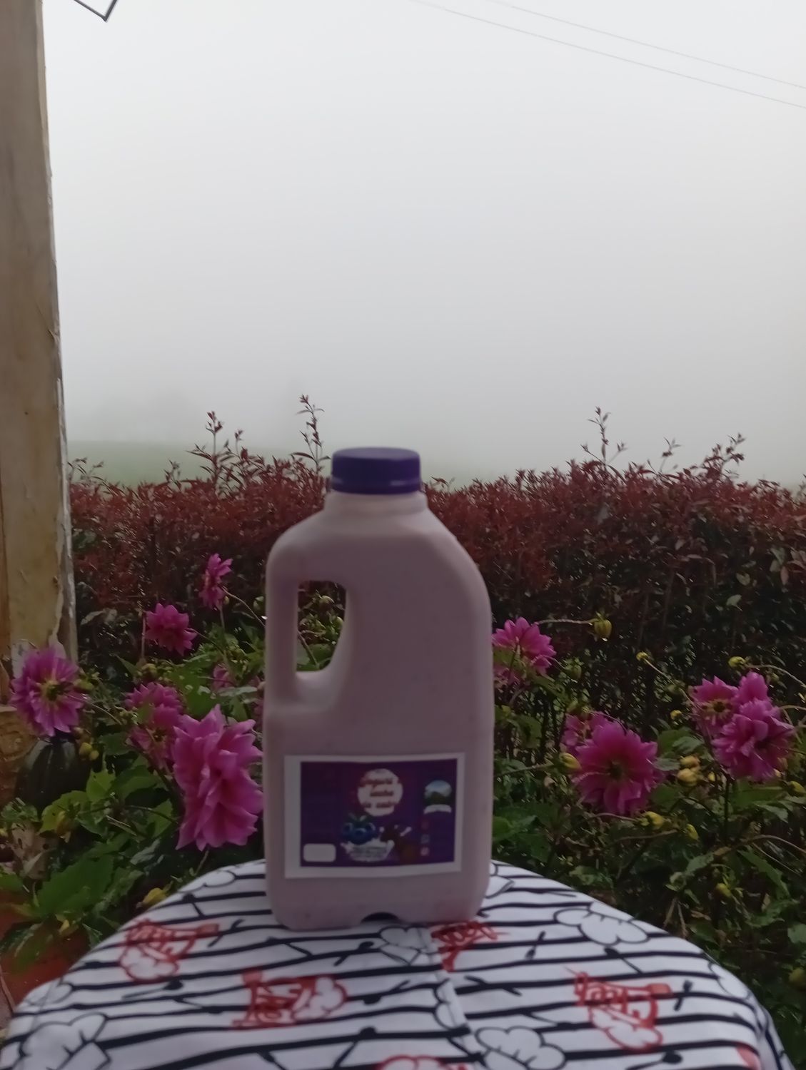 Yogurt Bebible de leche de cabra(1000 g)