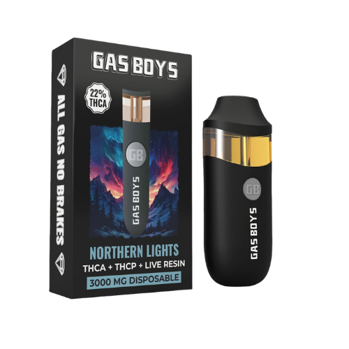 Gas Boys 3g Disposable, Strain: Northern Lights