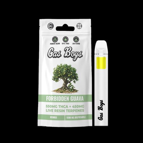 Gas Boys 1g THCa Live Resin Disposable, Strain: Forbidden Guava