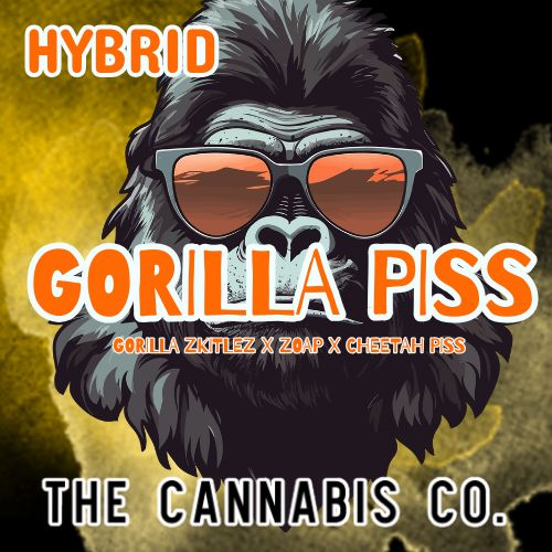 Curated THCa Blends