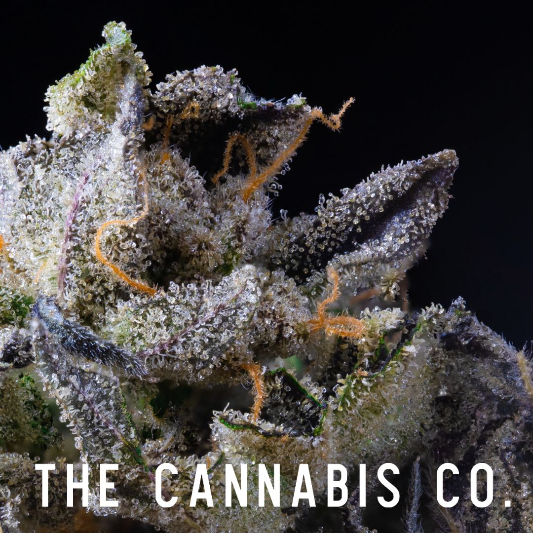 Budget THCa Flower