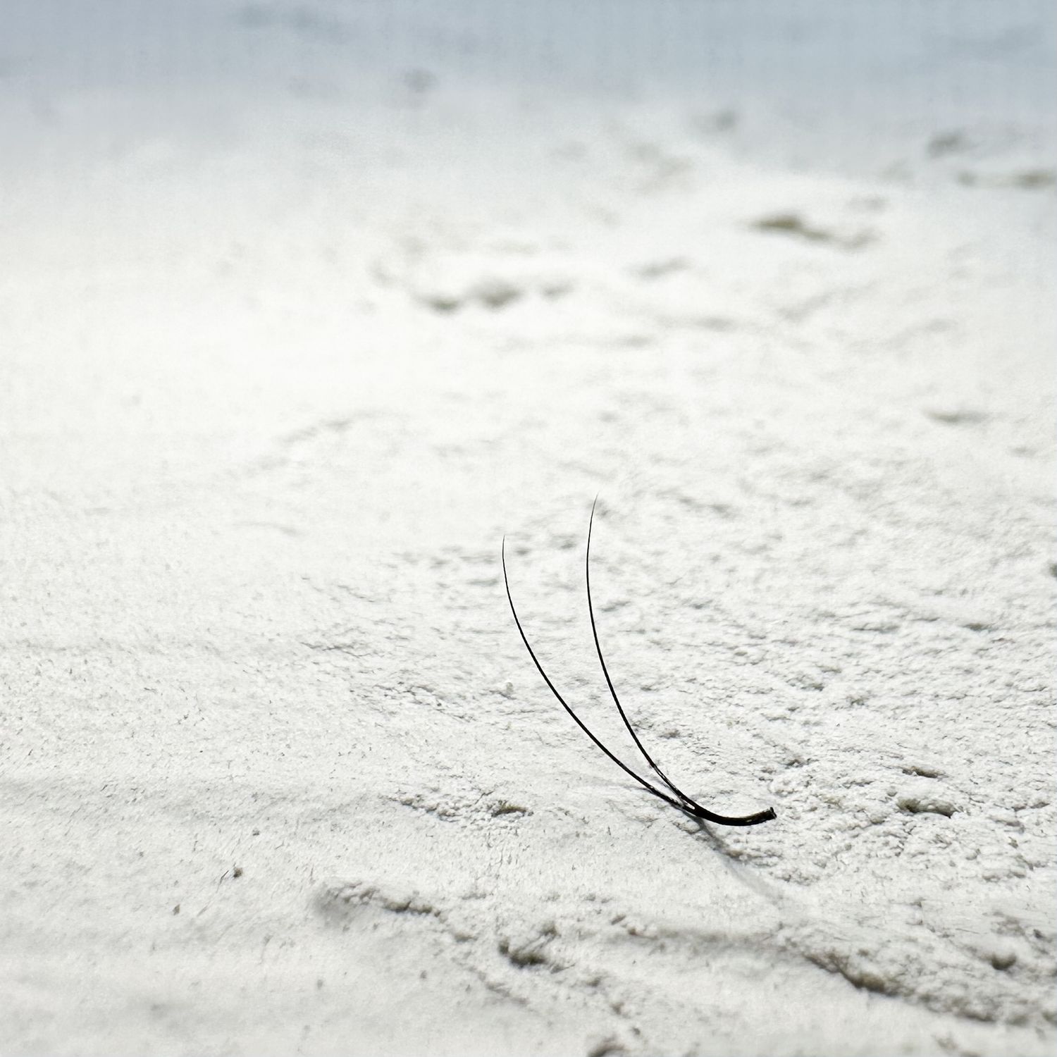 D CURL 0.10