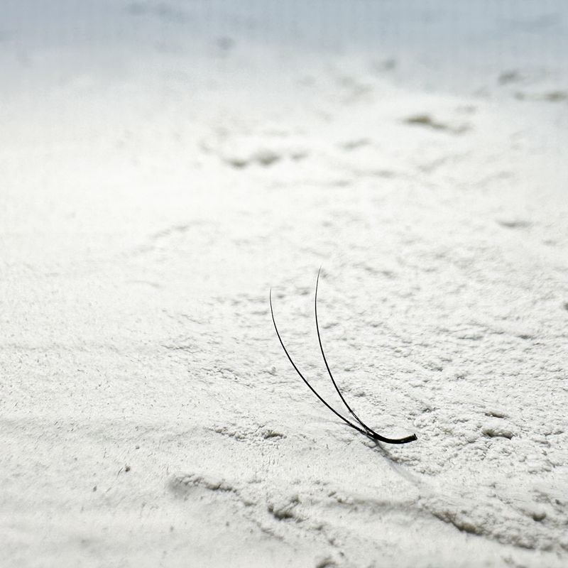 D CURL 0.10