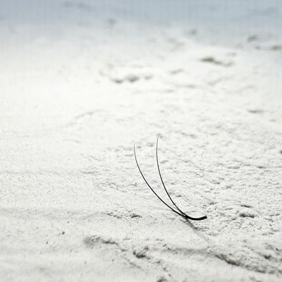 D CURL